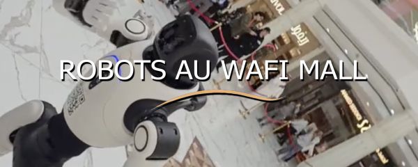 Video Europe