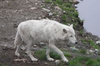2005 Voyage Alaska