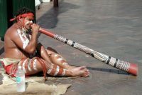 2003 voyage australie